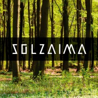 Solzaima logo - Similar company to Avedol - Estantes E Expositores Para Lojas