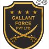 Gallant Force Pvt. Ltd. logo - Similar company to Equity Security Services