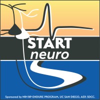 STARTneuro logo - Similar company to Paths Scholars Program