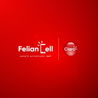 Grupo Felian Cell - MS logo - Similar company to Felian Cell