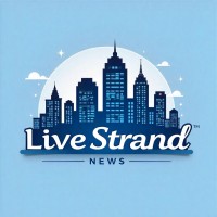 LiveStrand News logo - Similar company to Competitive Market Research