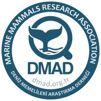 DMAD - Marine Mammals Research Association logo - Similar company to Atlantic Whale And Dolphin Foundation