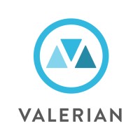 Valerian LLC logo - Similar company to Britina Design Group