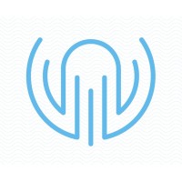 Octopus International Business Services Ltd logo - Similar company to Crazy Daisy