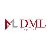 DML Capital LLC logo - Similar company to Summit Capital Group