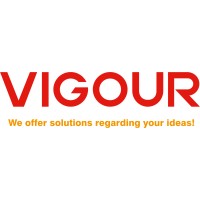 Shanghai Vigour Technologies Co., Ltd logo - Similar company to Rectus Polska Sp. Z O.O.