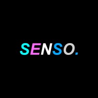 Senso Visuals logo - Similar company to Cape Coaching