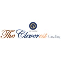 TheCleverest Consulting logo - Similar company to Etralis