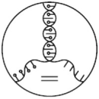 Aayuntra logo - Similar company to Svasti Ai