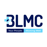 BL Management Consultants logo - Similar company to Deteqted
