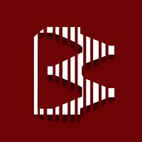 BAYKUSOGLU AUTOMOTIVE logo - Similar company to Autoemblema