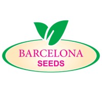 Barcelona Seeds logo - Similar company to Pito Zaden B. V.
