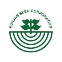 Punjab Seed Corporation logo - Similar company to Growthify.Pk - Jobs In Pakistan