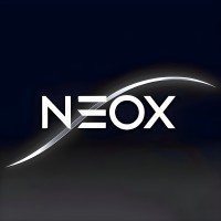 NEOX logo - Similar company to Onx