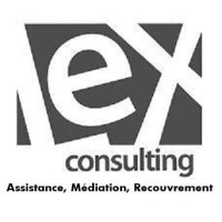 LEX CONSULTING SAS logo - Similar company to Lex Consulting Group
