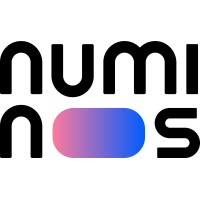 numinos logo - Similar company to Ciberia