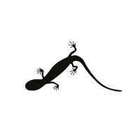 LIVING CONCEPT logo - Similar company to Daddylicious