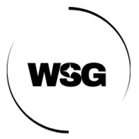 Welday Strategy Group, LLC logo - Similar company to Mays Business Honors Program