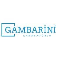 Laboratório Gambarini logo - Similar company to Clínica Sem Limites