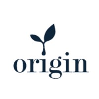 Origin Consulting