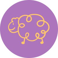 Kindoo Gmbh