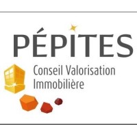 Pépites logo - Similar company to Pepites
