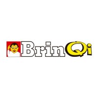 BrinQI Brinquedos Pedagógicos logo - Similar company to Cometa Brinquedos