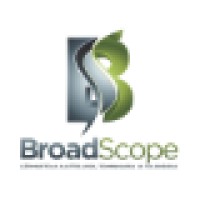 Broad Scope Management Consulting