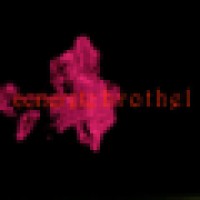 concrete brothel logo - Similar company to Word Brothel Llc