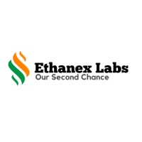 Ethanex Labs logo - Similar company to Hootfix  |  Software Company