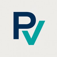 Payvibe logo - Similar company to Techbees Enterprises