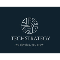 Tech Strategy logo - Similar company to Tech Strategy Consulting