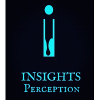 INSIGHTS PERCEPTION logo - Similar company to Level Up Teambuilding