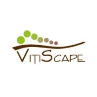 Vitiscape