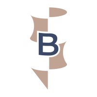 B-FLEXION logo - Similar company to Kck Group