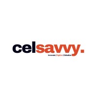 Celsavvy logo - Similar company to Turing Studios