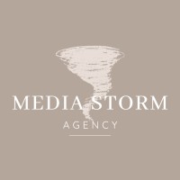 Media Storm Agency logo - Similar company to Targetcast Networks