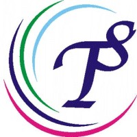 Transolution LS logo - Similar company to Transolution Linguistic Services