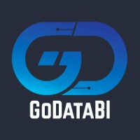 GoData BI logo - Similar company to Cjava Perú