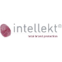 Intellekt Group logo - Similar company to Intellekt