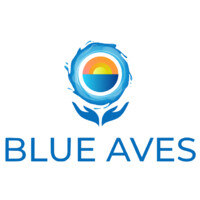 Blue Aves AG logo - Similar company to I9 Solution Inc.