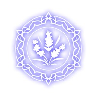 skincalories logo - Similar company to Phare Venture
