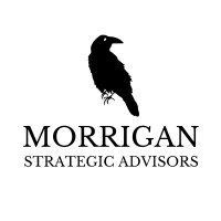 Morrigan Strategic Advisors logo - Similar company to Aclassia