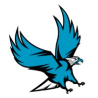 Falcon Online Services logo - Similar company to Web Believers