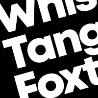 Whiskey Tango Foxtrot GmbH logo - Similar company to Metabuild