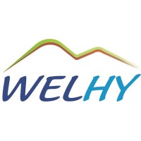 WELHY logo - Similar company to Yla Solutions
