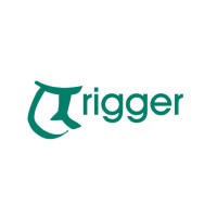 TRIGGER GROUP OF COMPANIES logo - Similar company to Tektegra Solutions Private Limited
