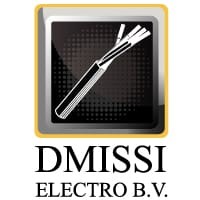 Dmissi Electro B.V. logo - Similar company to Chaara Infra B.V.