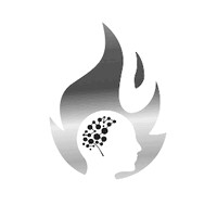 Igniting Minds logo - Similar company to Igniting Minds Organization
