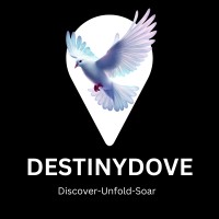 Destinydove logo - Similar company to Ivsr Ads